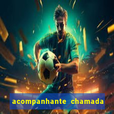 acompanhante chamada de video